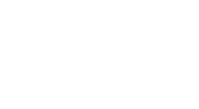 Logo Freestyle Roots